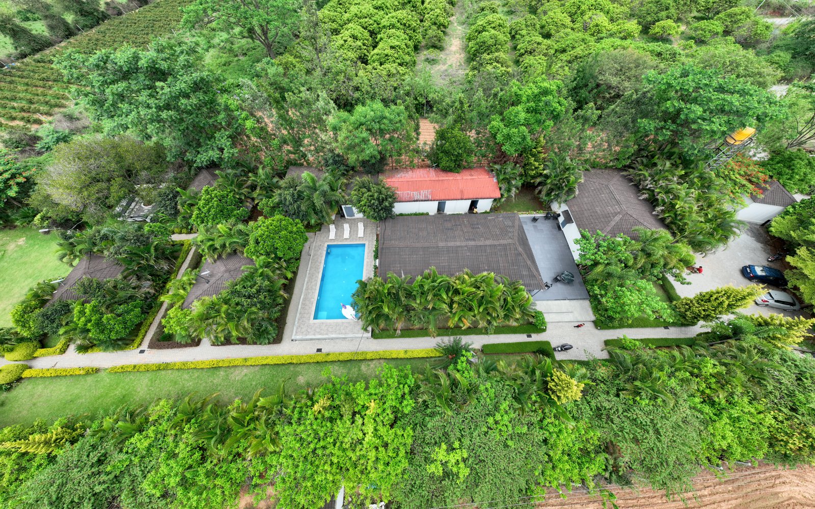 Aerial view of the lit-up jackfruit tree sit-out at dusk
