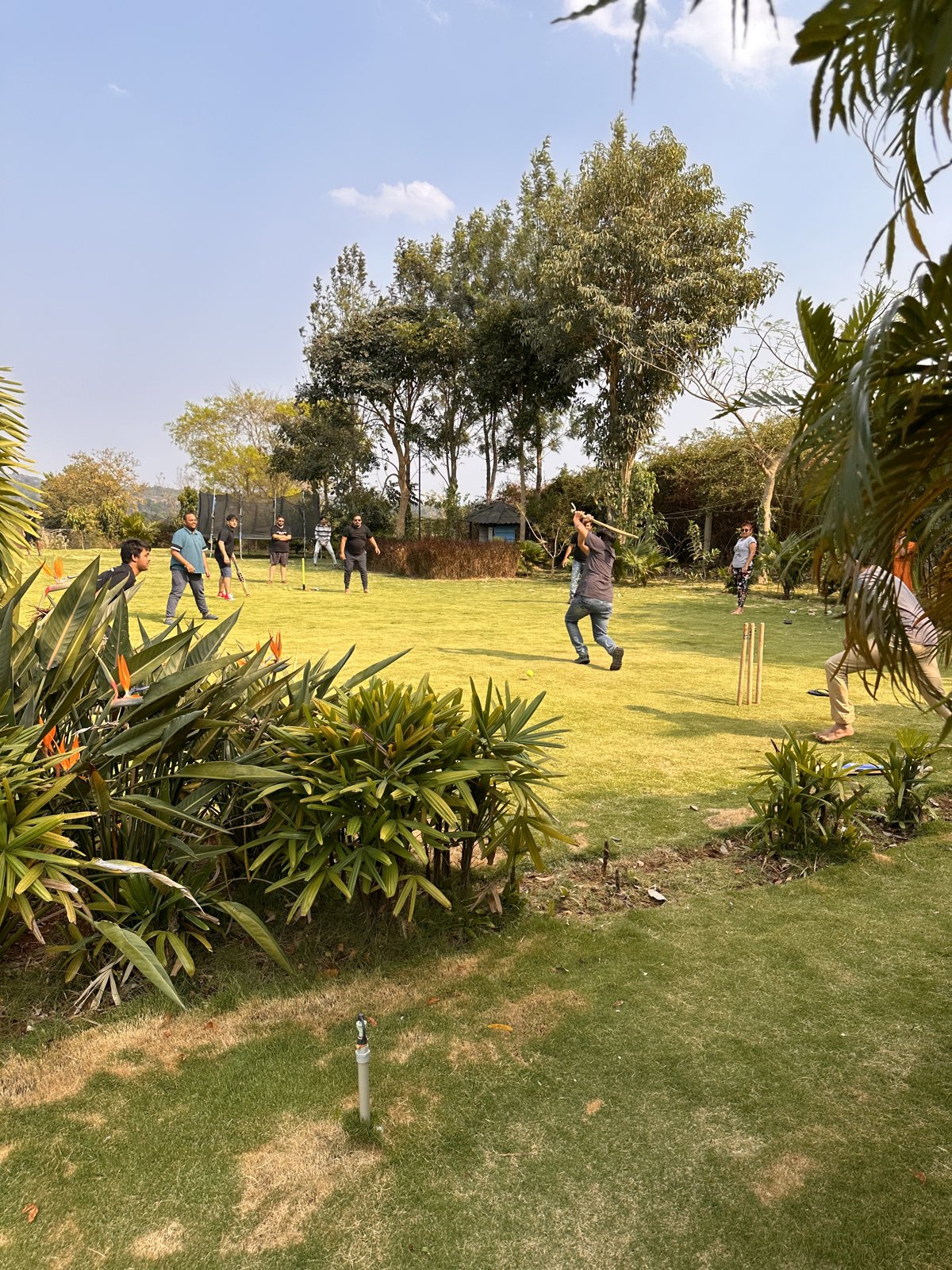 Guests playing cricket on the lawn at Lush Resorts