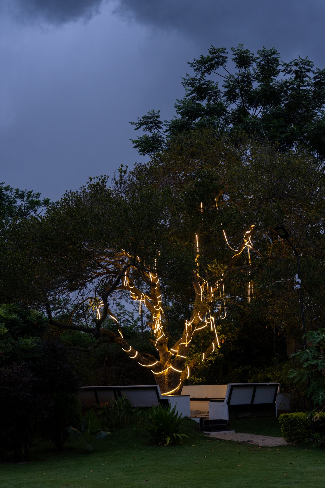 Sit-out under the jackfruit tree, lit up in the evening
