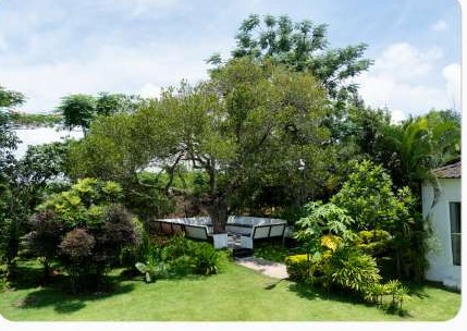 Garden and lawn seating area