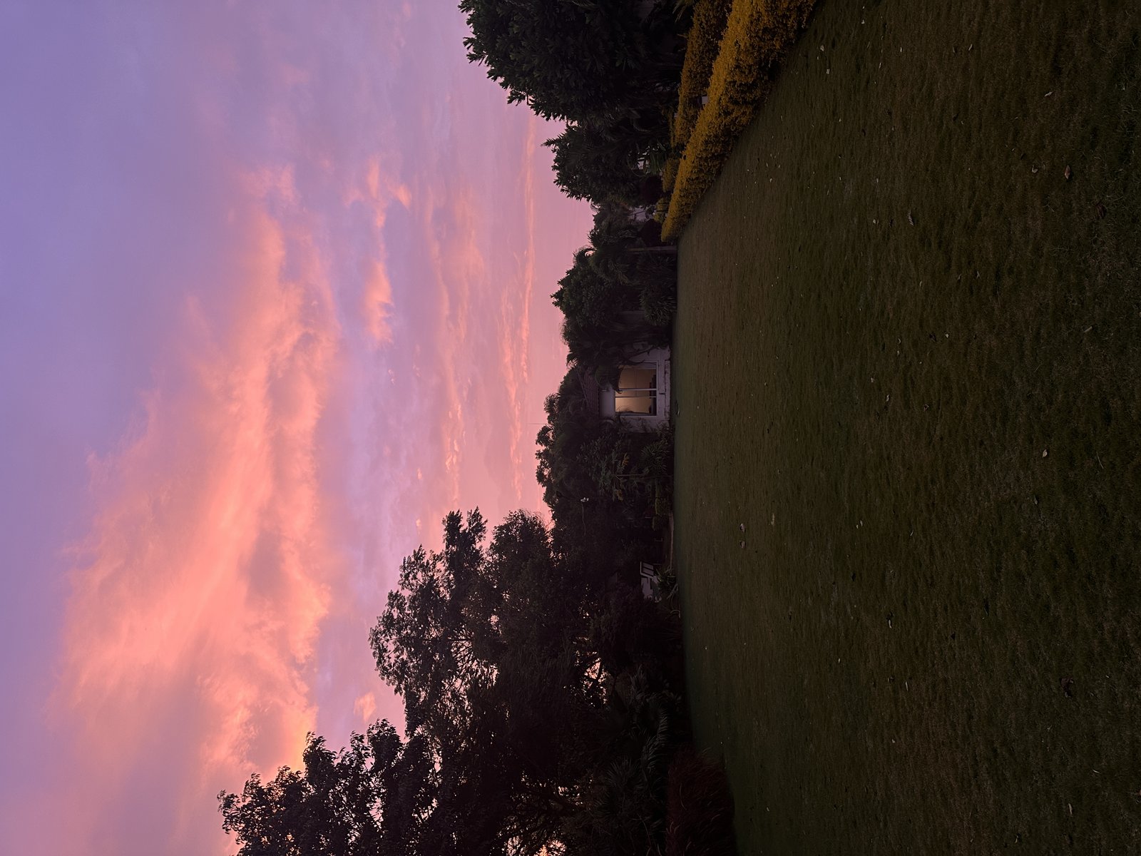 Pink sunset over the lawn